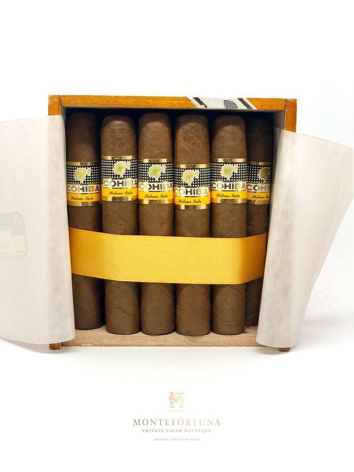 Cohiba Robusto