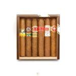 Buy Robustos Cigars Online