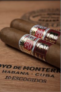 Hoyo de Monterrey Escogidos Hoyo de Monterrey Escogidos