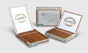 Rafael Gonzalez North Star