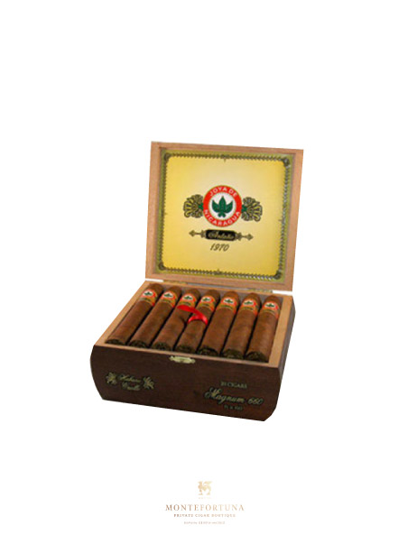 Joya de Nicaragua Antano Magnum 660