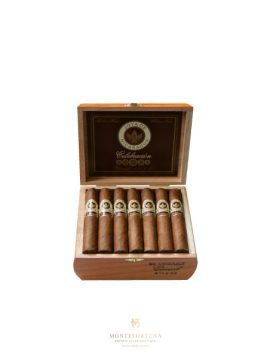 Joya de Nicaragua Celebracion Consul