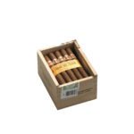 Hoyo de Monterrey Le Hoyo du Maire