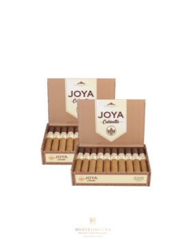 2 Boxes of 20 Joya de Nicaragua Cabinetta Robustos