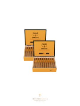 2 Boxes of 20 Camacho Connecticut Toro