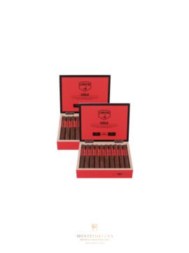 2 Boxes of 20 Camacho Corojo Toro