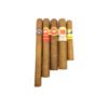 Cuban Cigar sampler