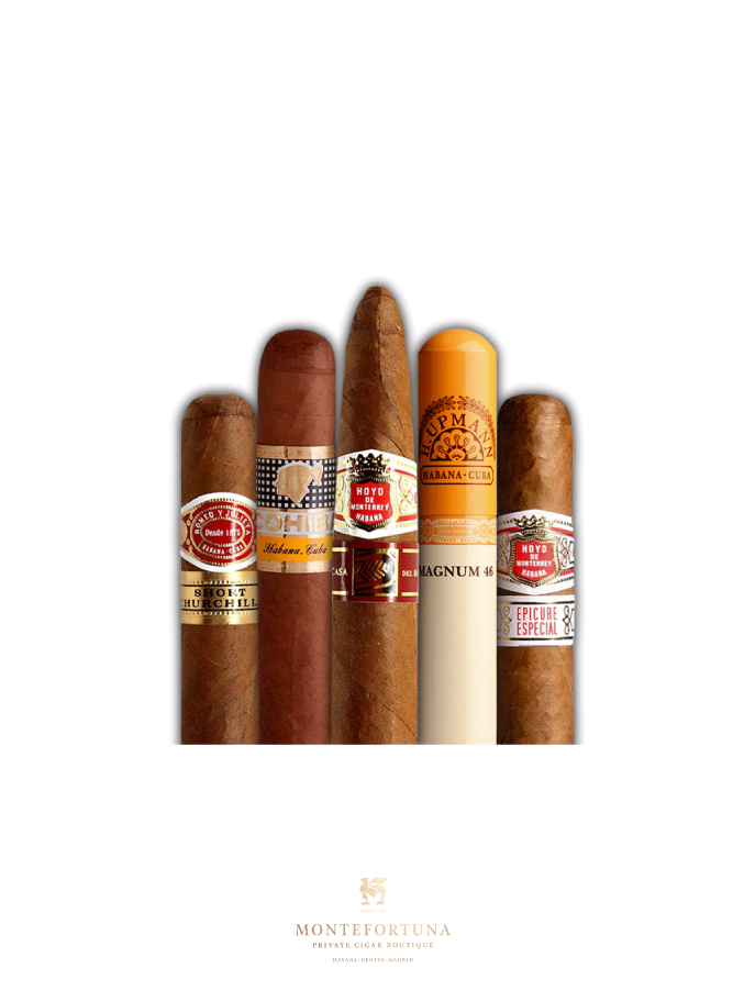 Cuban Samplers Online