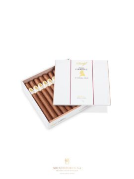 Davidoff Winston Churchill Churchill