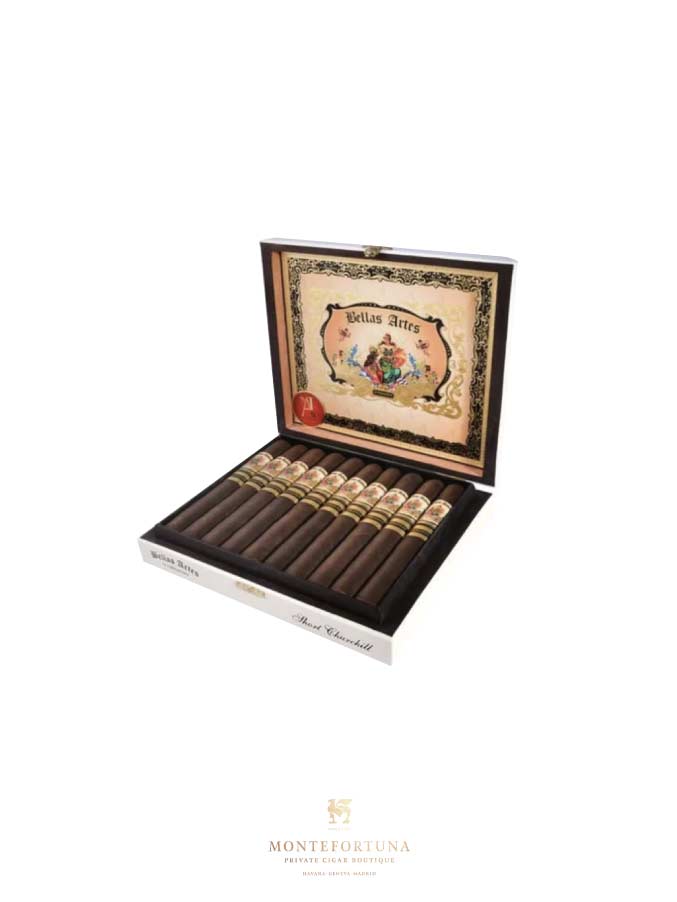 Bellas Artes Maduro Toro