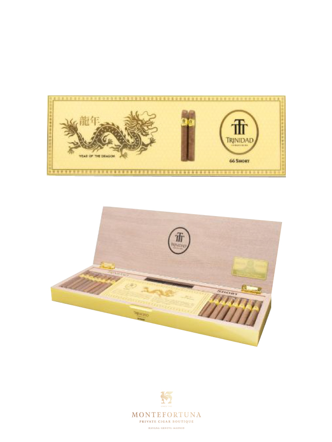 Trinidad Shorts Year of the Dragon