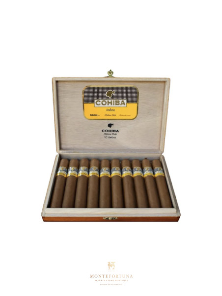 Cohiba Ambar (10)
