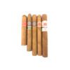 Cuban Cigar Starter Sampler III