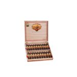 La Aurora 107 Zeppelin