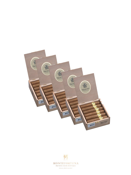 5 Boxes of Trinidad Vigia
